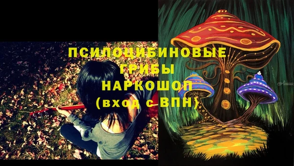 спайс Армянск