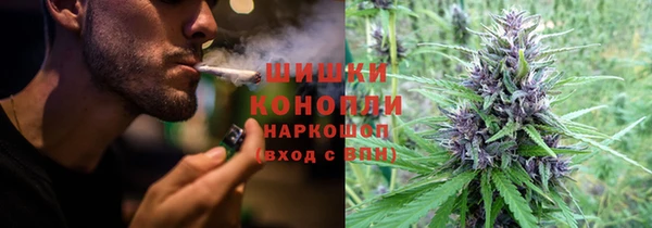 прущие крисы Арсеньев