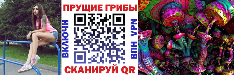 Купить где  Топки  Галлюциногенные грибы Magic Shrooms 